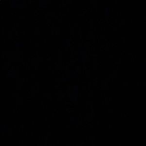 Meet your Posher, Carson